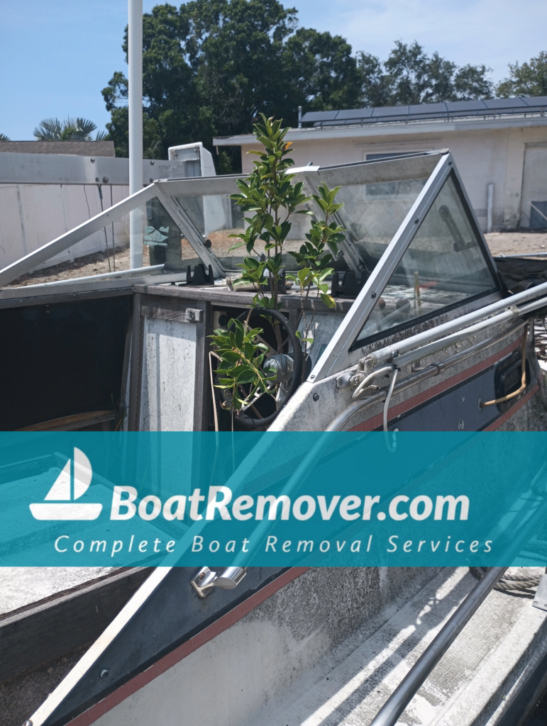 St Petersburg Florida Boat Removers