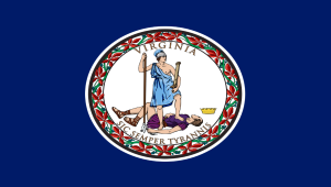 Virginia Boat Removal